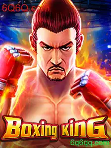 Descubra o Dinâmico Mundo de BoxingKing: Um Guia Completo