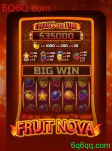 Descubra o Mundo Fascinante de FruitNova